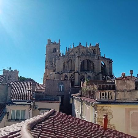 Studio Terrasse Vue Cathedrale Narbonne Kültér fotó